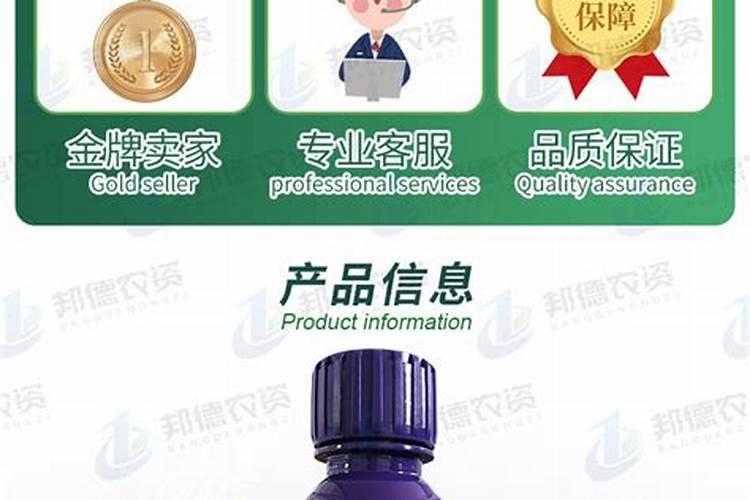 月季黑斑病用什么药最有效 月季黑斑病用什么药最有效拿敌稳