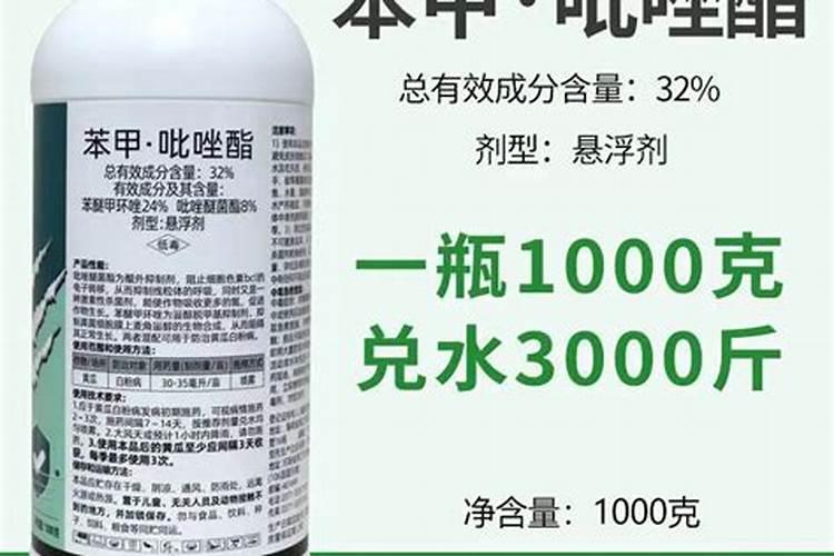 月季花黑杆用什么药