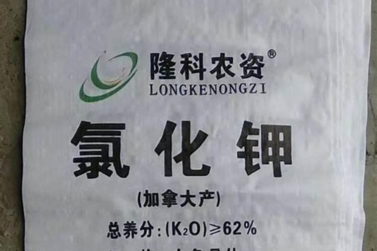 柠檬施什么肥