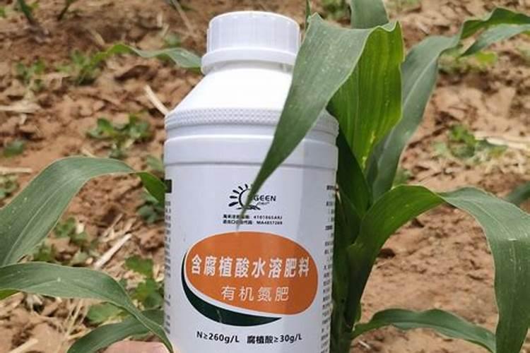 适当增施氮肥能提高玉米的产量的是什么？