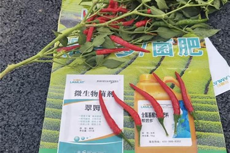 辣椒用什么肥料好