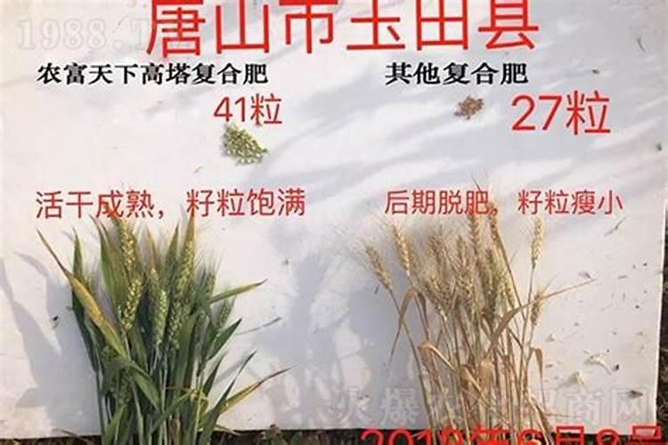 猕猴桃水肥一体化施肥技术,哪些肥料不能混配