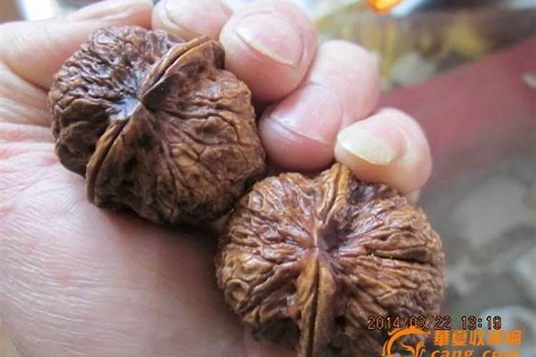 桃树硬核期后,喷施钙肥重要还是钾肥重要？