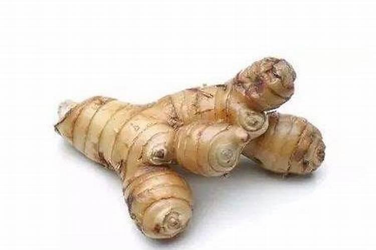 南姜又叫做什么姜？