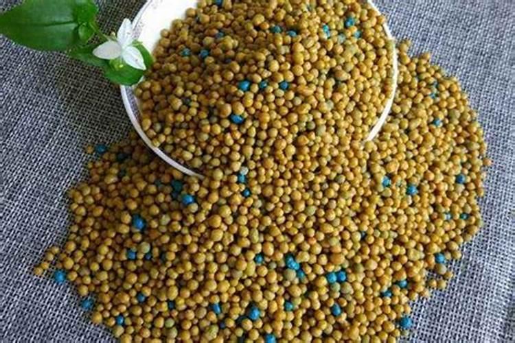 月季开花施什么肥料
