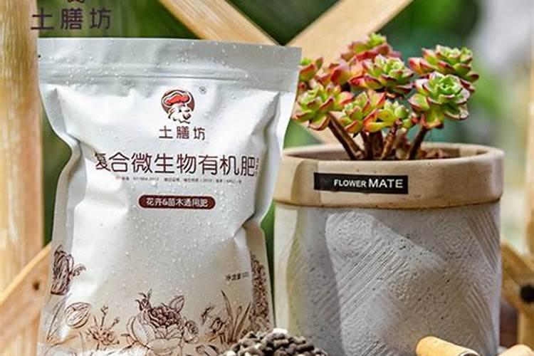 最简单的沤土沤肥方法