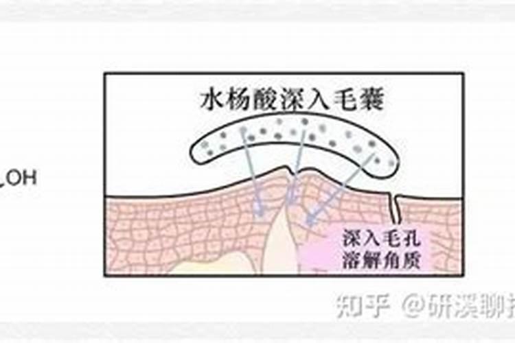 发财树浇什么水长得最旺
