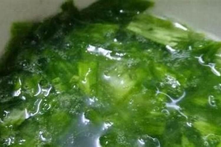 如何自己在家制作能让花卉长的旺叶子绿的万能肥料？