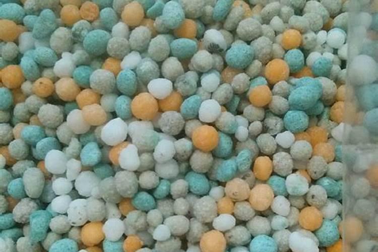 盆栽月季花上什么肥料(盆栽月季花上什么肥料好)
