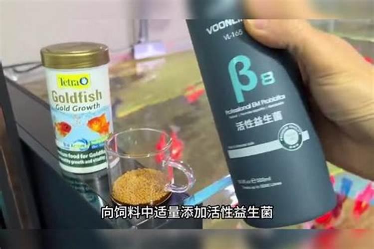 发酵鱼蛋白为什么发臭了