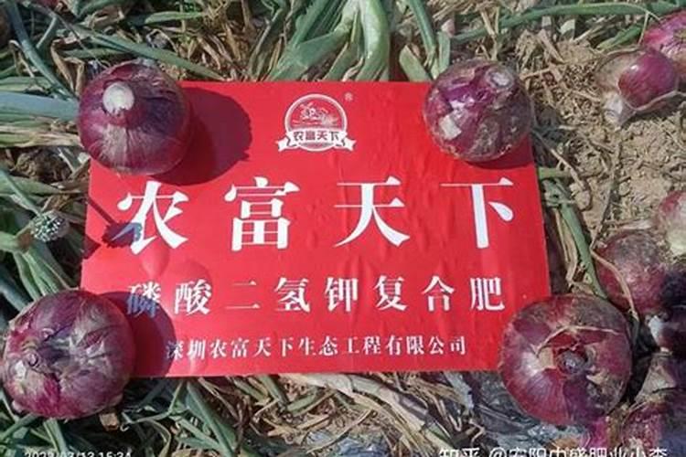 洋葱对肥料的要求也是比较高的,种植洋葱如何追肥？