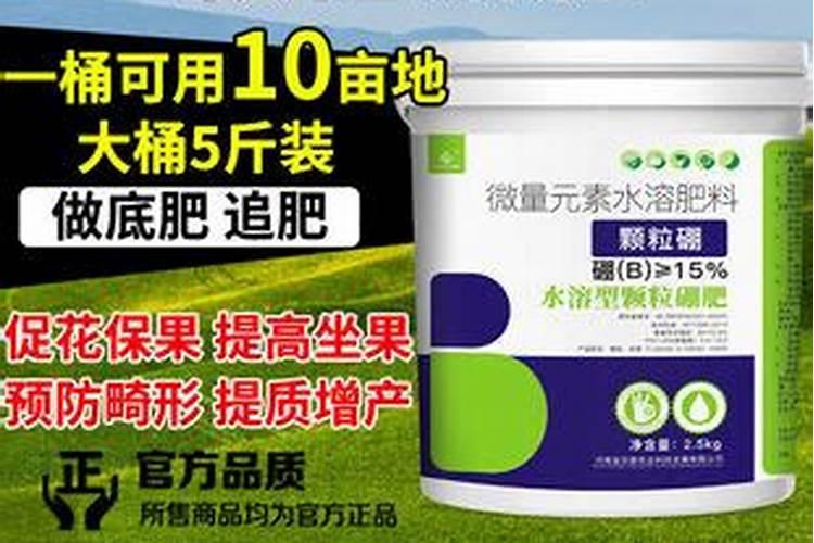 什么是硼砂,用途是什么？