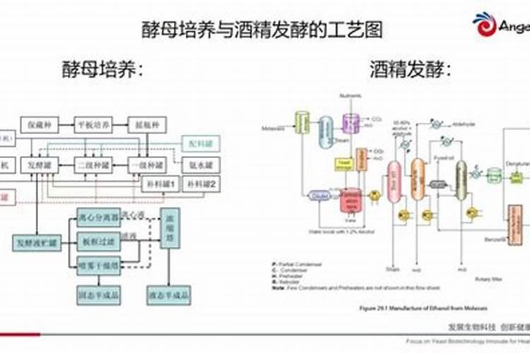 土豆叶子又瘦又矮怎么办