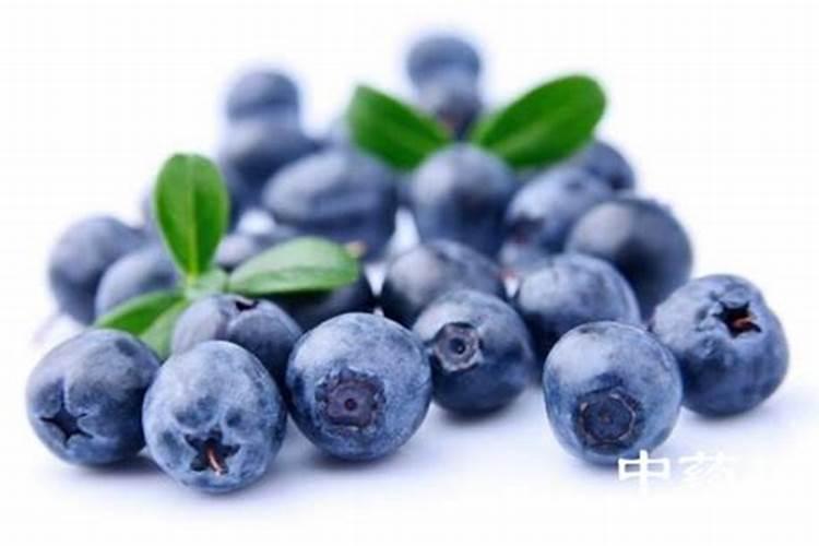 蓝莓开花结果期施什么肥好