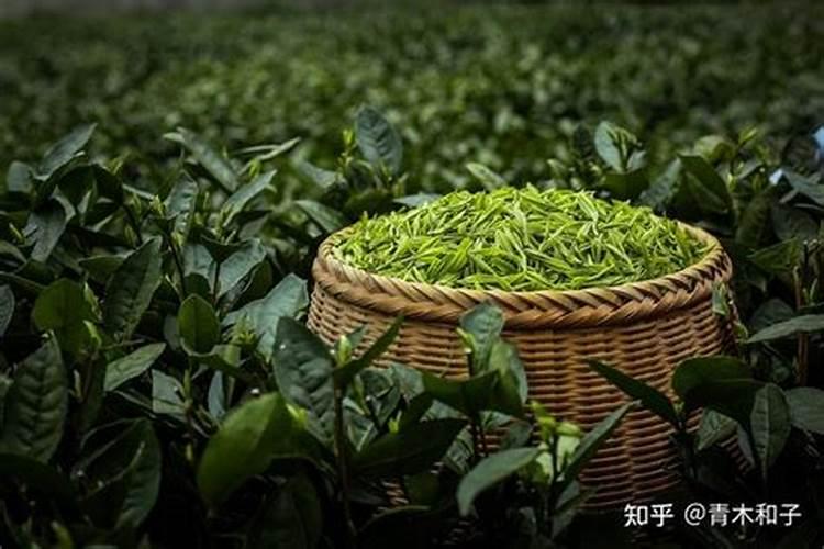 西瓜施什么水溶肥？