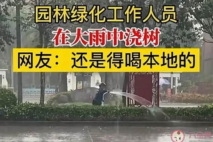 硼肥在什么时候喷施好