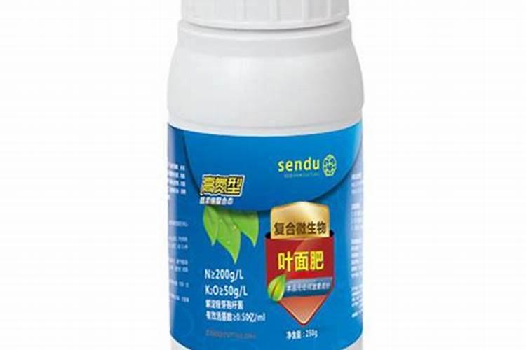 寒兰多久长芽