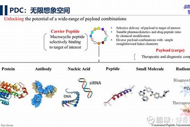 多肽尿素是长效尿素？