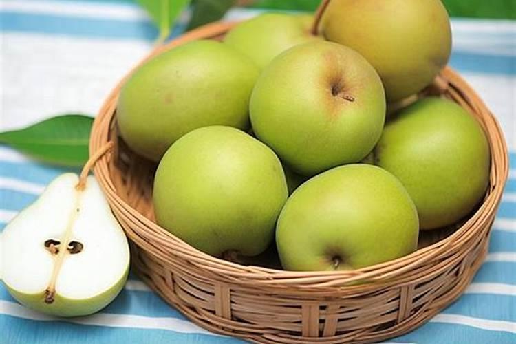 兰花怎么种植需要太阳光吗？