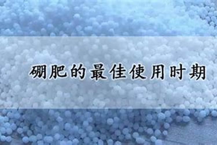 糖分摄入过多如何补救