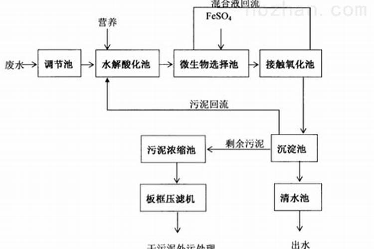 杜鹃花施肥要点