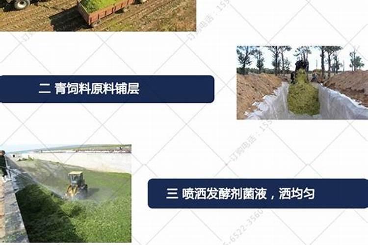 玉米秸秆还田应该注意什么
