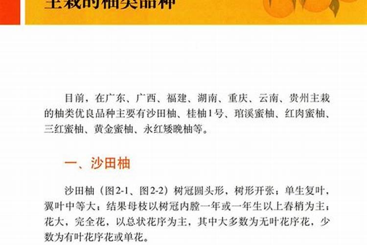 云南蒙自县水果批发市场在哪