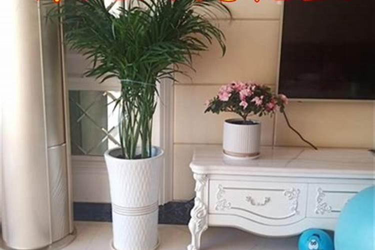 寿光功能性大量元素水溶肥品牌