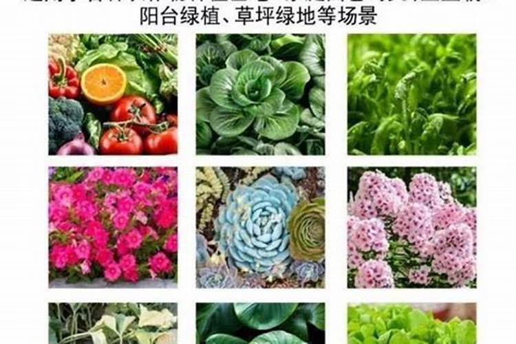 通用型肥料;通用肥和专用肥的区别