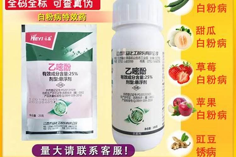 请问什么药打荷兰豆的白粉病最好