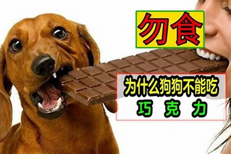 鱼蛋白使用注意事项