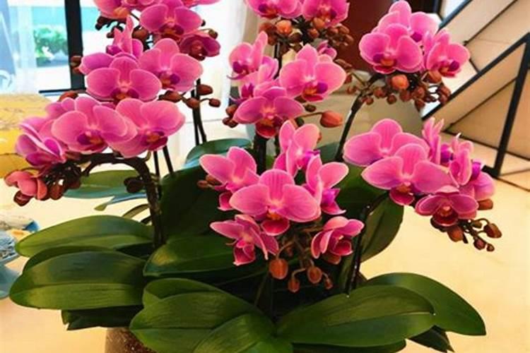 植物营养液属于化肥吗？