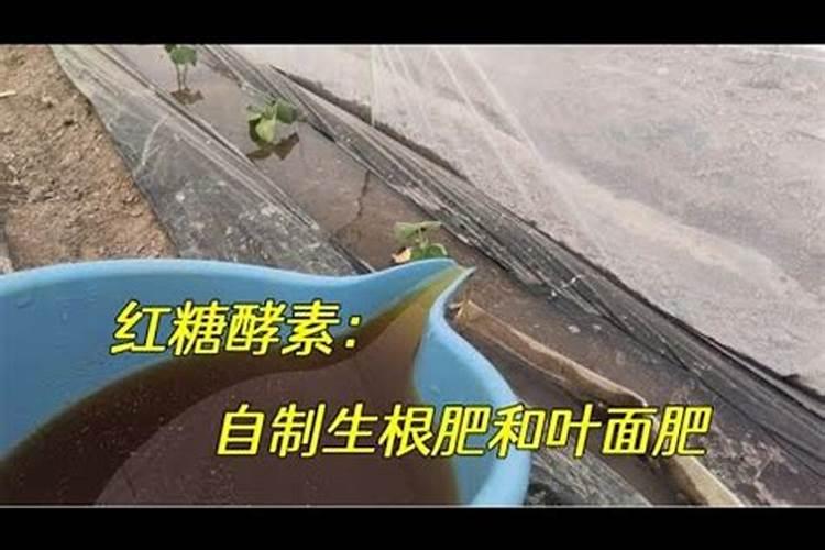 红糖叶面肥的绝密配方