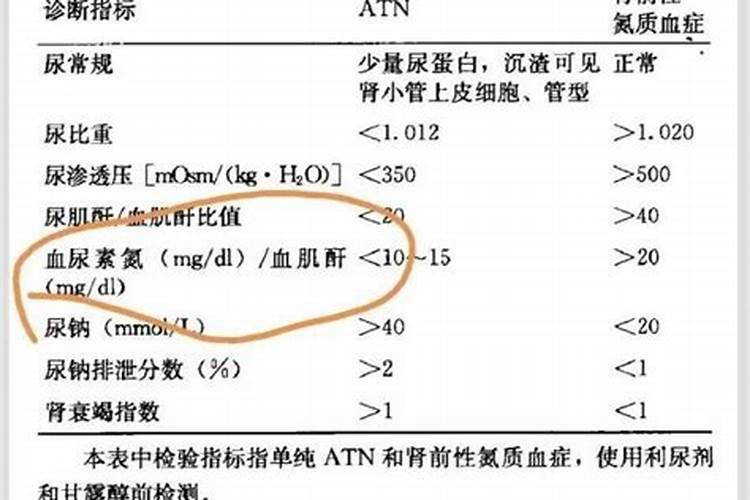 蛋白氮与非蛋白氮分别指哪些