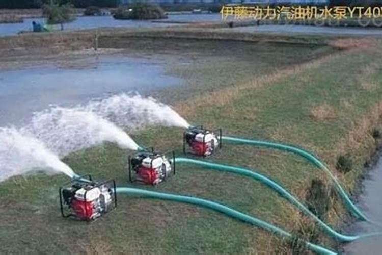 苹果套袋时,用什么化肥可以增亮？该注意些什么？