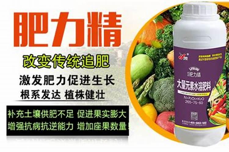 磷肥尿素与复合肥区别