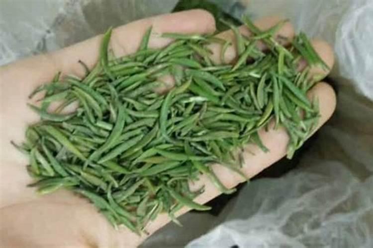 六月份茶叶花用什么肥？
