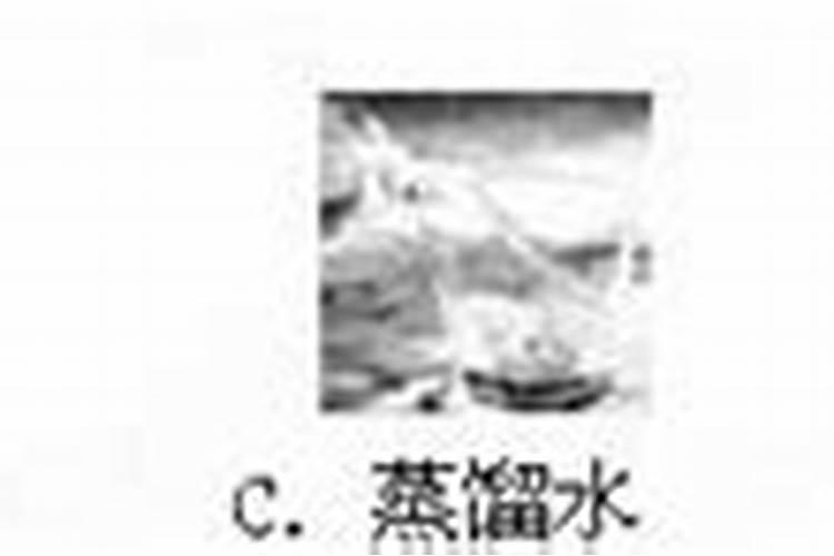钾肥对盆栽植物有什么影响？