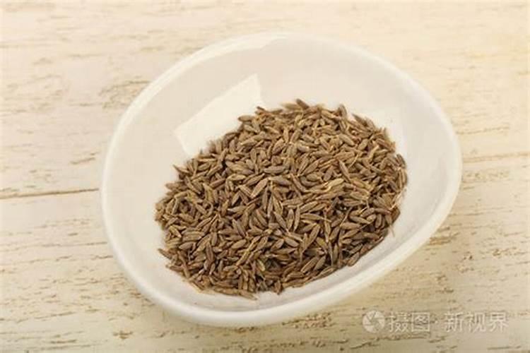 孜然的生长周期有多长？