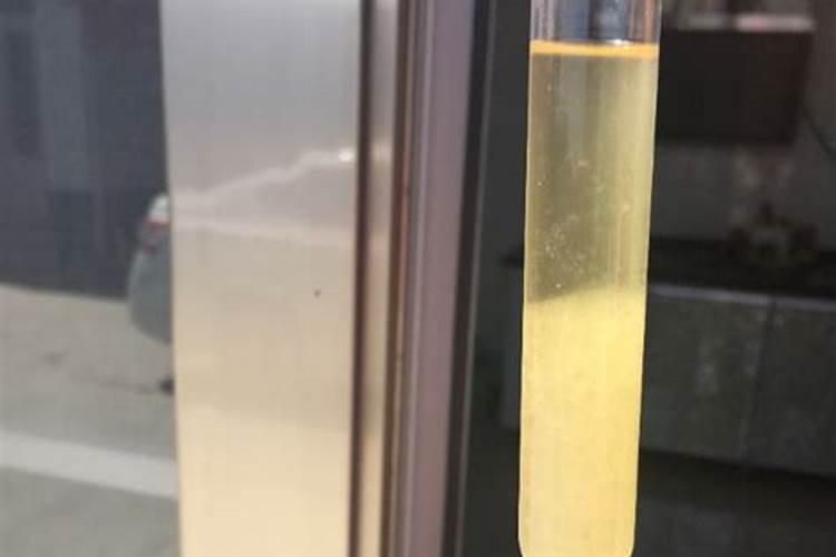 鱼蛋白肥料的使用技巧
