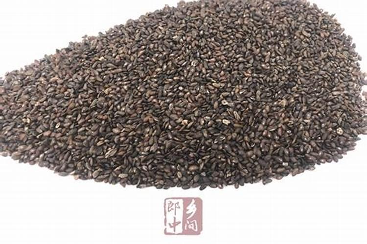 小草的功效与作用,小草的功效与作用的功能与主治