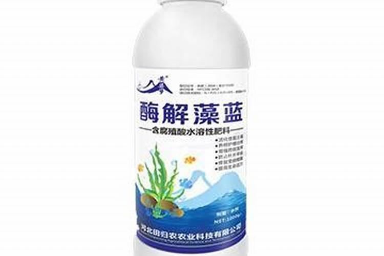有机肥料用在多肉(多肉专用有机液肥)