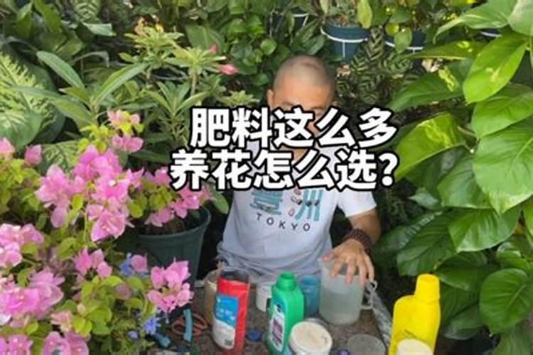 水溶肥的正确使用方法