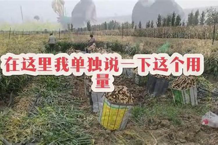 小果树施什么肥长的快