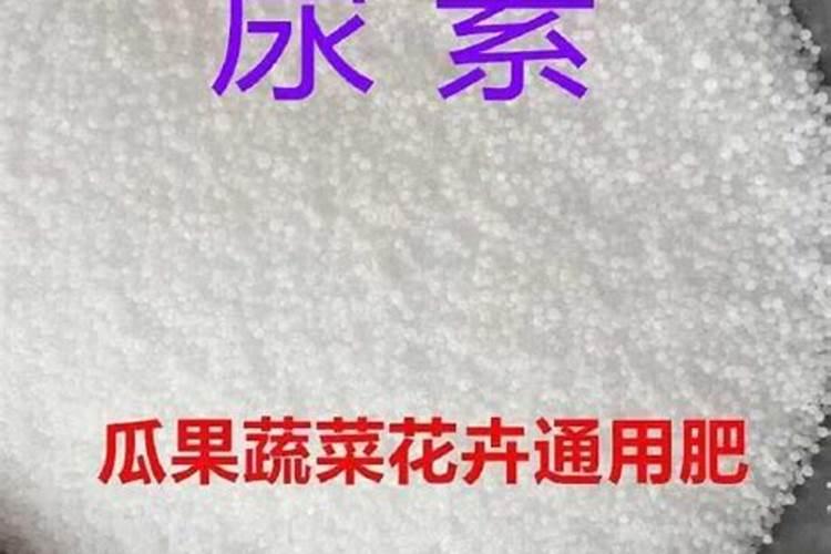 尿素和氮肥有什么区别