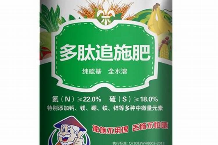 如何用沼液作为叶面肥喷施柑橘？