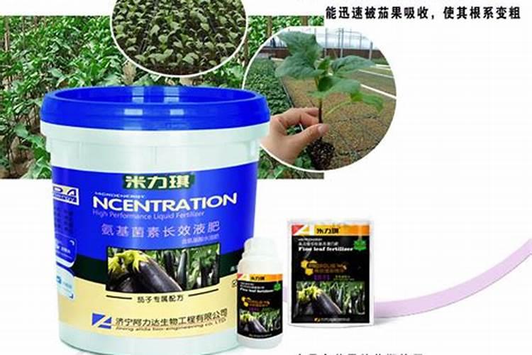 水溶肥知名品牌有哪些？