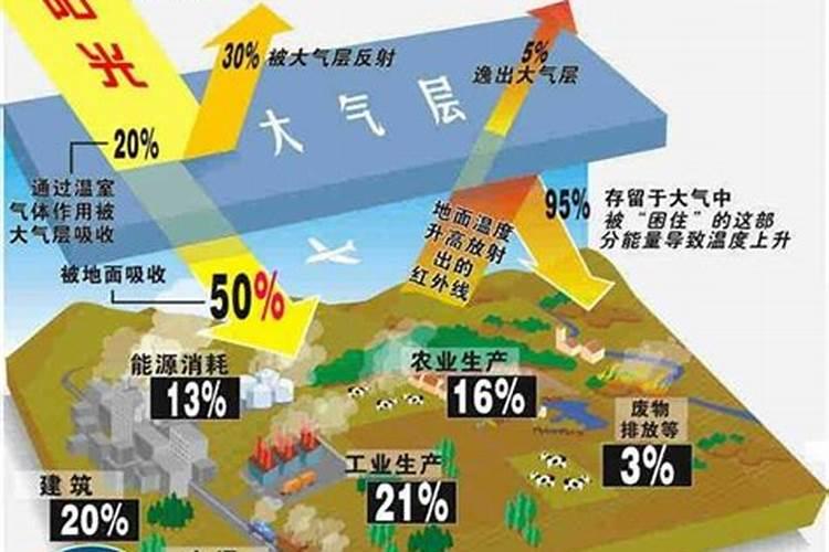 氮循环氮污染及其防治