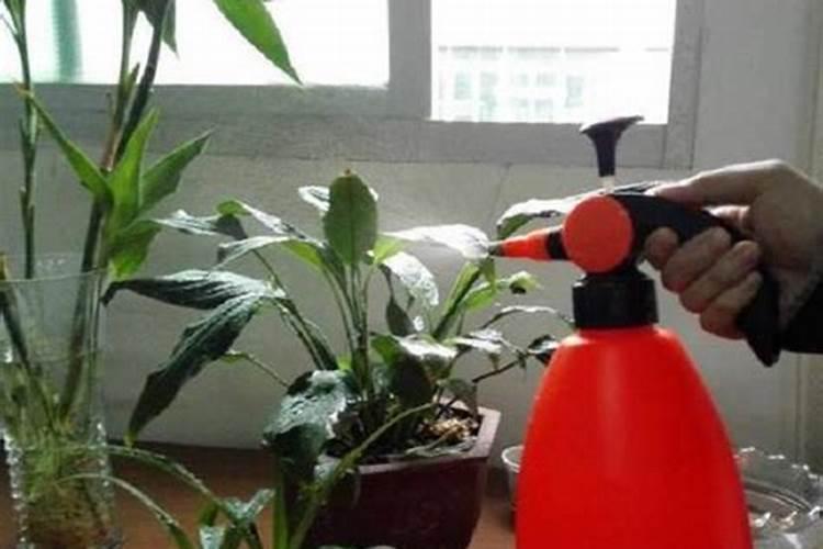 怎么让猪油发酵变肥料