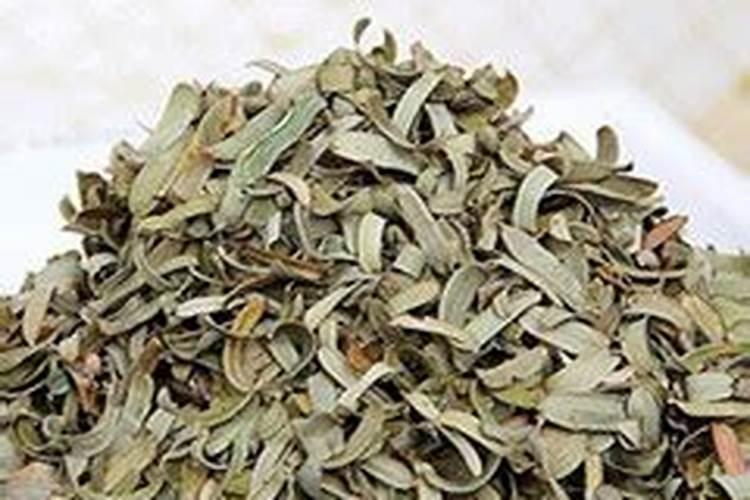 柑橘用什么肥料最好